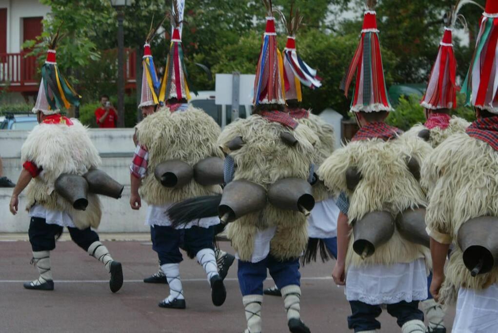 Maison Muruzabal Etxea エスプレット エクステリア 写真