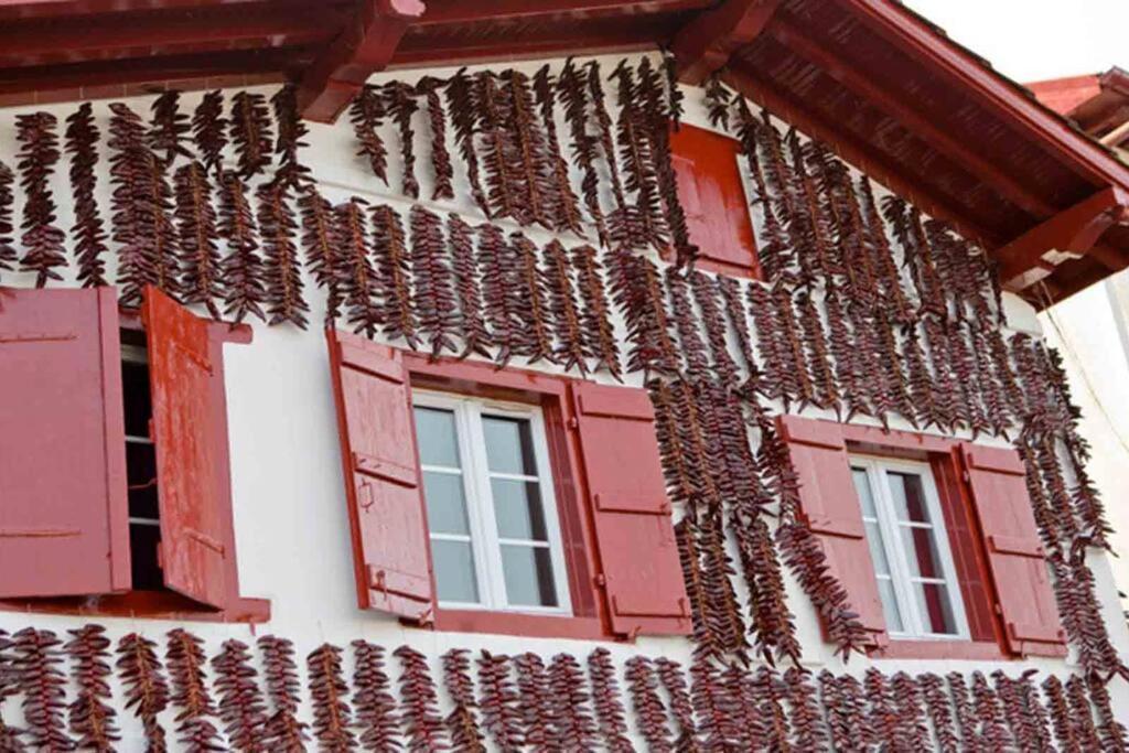 Maison Muruzabal Etxea エスプレット エクステリア 写真